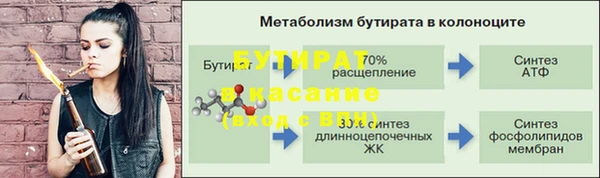 индика Беломорск